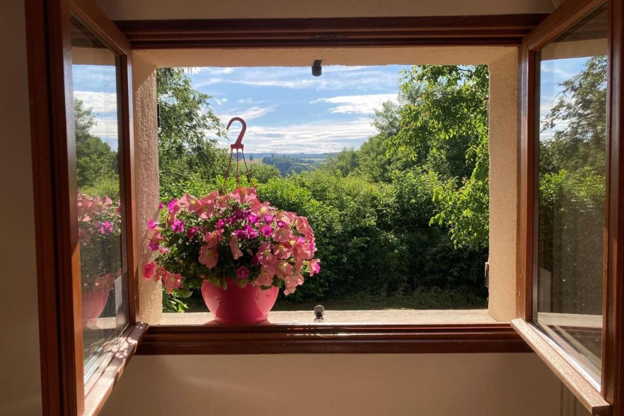 La Belle Vue - Coin De Paradis Sussac Esterno foto